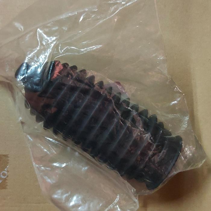 Boot Steer Honda Odessey Rb1