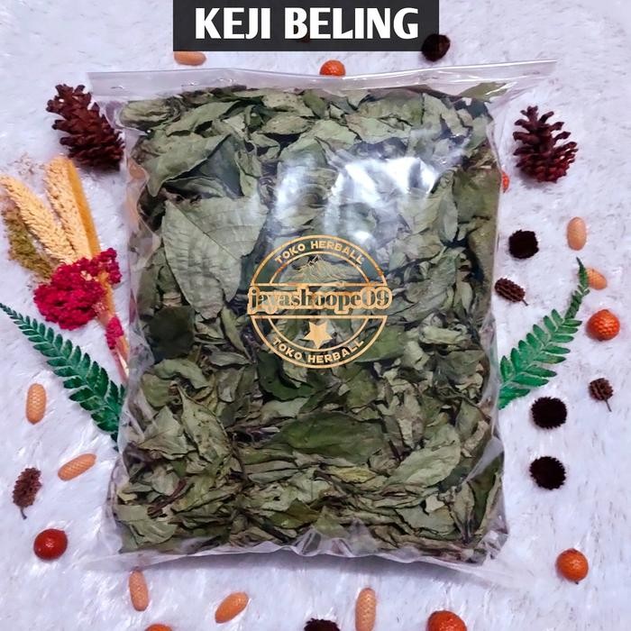 

PREMIUM Daun Keji Beling Kering 500-GRAM Daun Pecah Beling obat