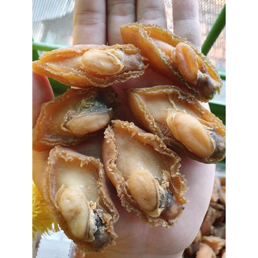 

PREMIUM Abalon Kering Big Size Class 1 100gr / Abalone / Bao Yu