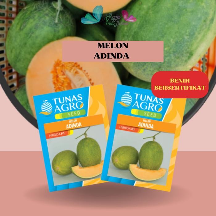 [Sp] Bekasi Biji Benih Melon Adinda F1 Ori - Repack 10 50 100 Bibit Melon