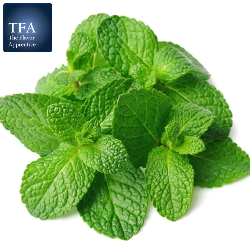 

TFA Spearmint 10ml Essence Flavor Foodgrade