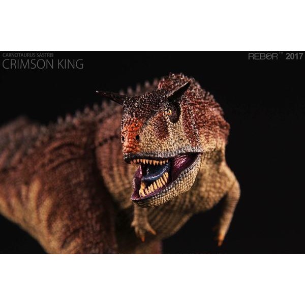 REBOR Carurus CRIMSON KING