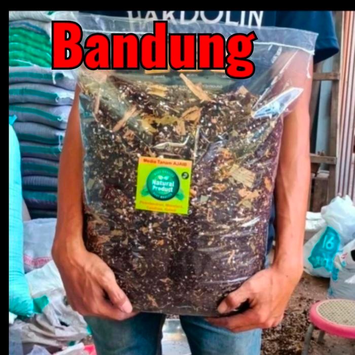 (Allthebest) Media tanam ajaib 5 kg, metan aglonema, metan varigata, metan premium