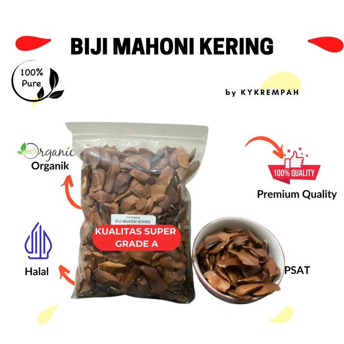 

Biji Buah Mahoni Kering Premium Super [ 250 Gram]