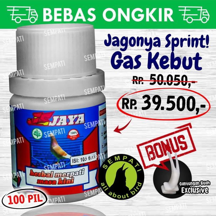 PIL DOPING MERPATI JS JAYA JAMU HERBAL BURUNG MERPATI BALAP KOLONG PIL
