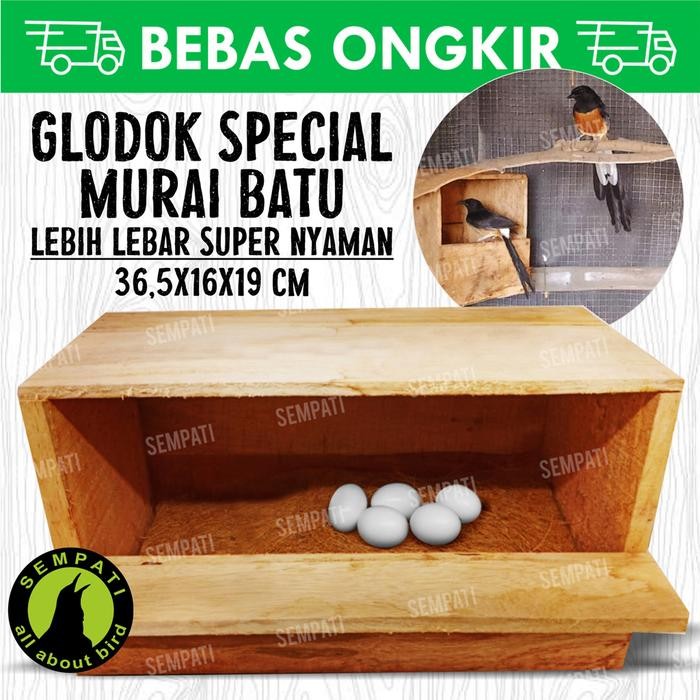 GLODOK KAYU SARANG TERNAK BREEDING BERTELUR BURUNG MURAI CUCAK GLMKY