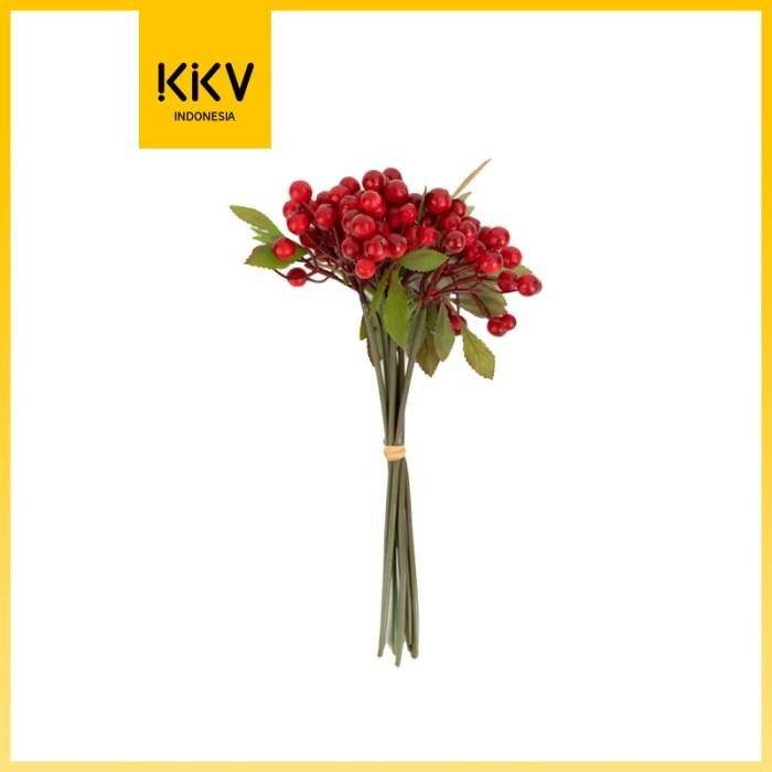 

OHSOME SLADKO Bounch Of Berry Tanaman Hias Buah Beri Bunga