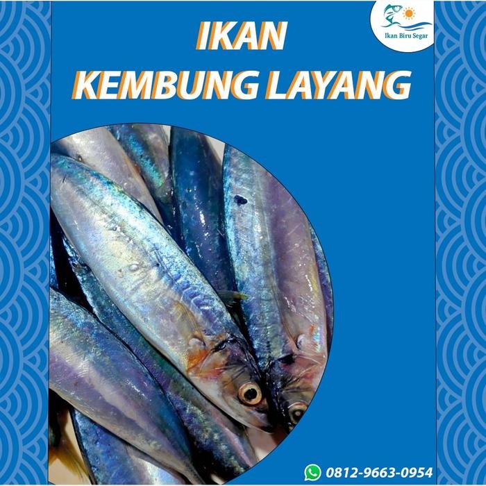 

Ikan Kembung Layang Fresh Frozen Quality