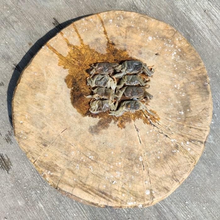 

(Allthebest) Jangkang 500 gr