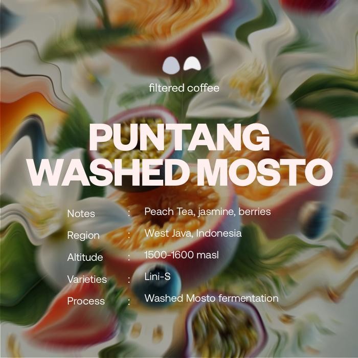 

PUNTANG WASHED MOSTO FILTERED COFFEE/ESPRESSO