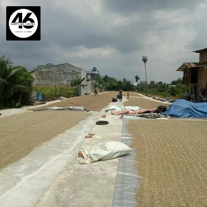

GREEN BEAN ARABICA LINTONG SPECIALTY SEMIWASH