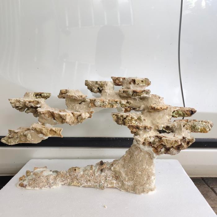 Scaping deadrock model