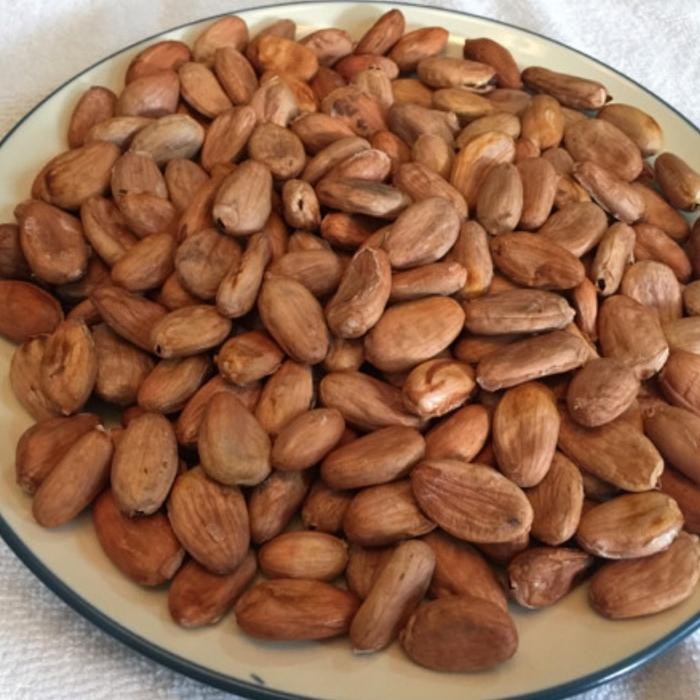 

biji coklat kering organik per 1 kg