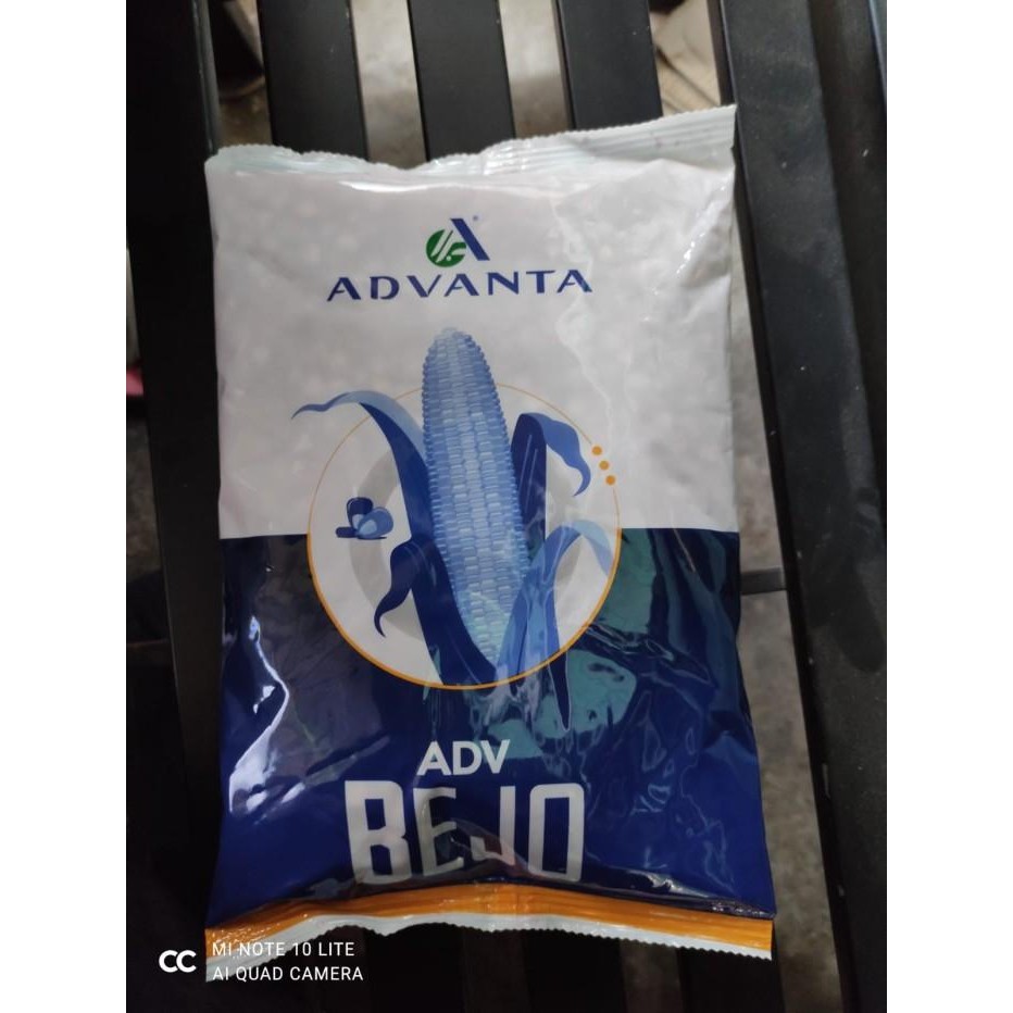 Benih Jagung BEJO isi 1kg dari Advanta