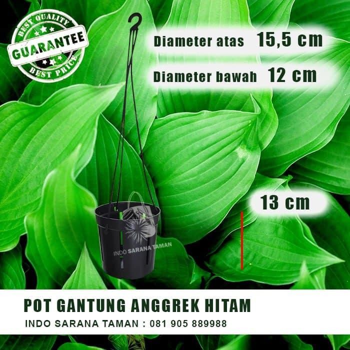PREMIUM Pot Gantung ANGGREK Pot Anggrek Pot Gantung Orchid Pot Plastik