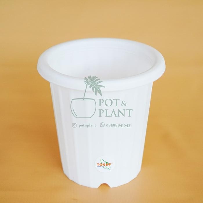 PREMIUM (LUSINAN) Pot Plastik Yogap 15cm YPT13 Putih