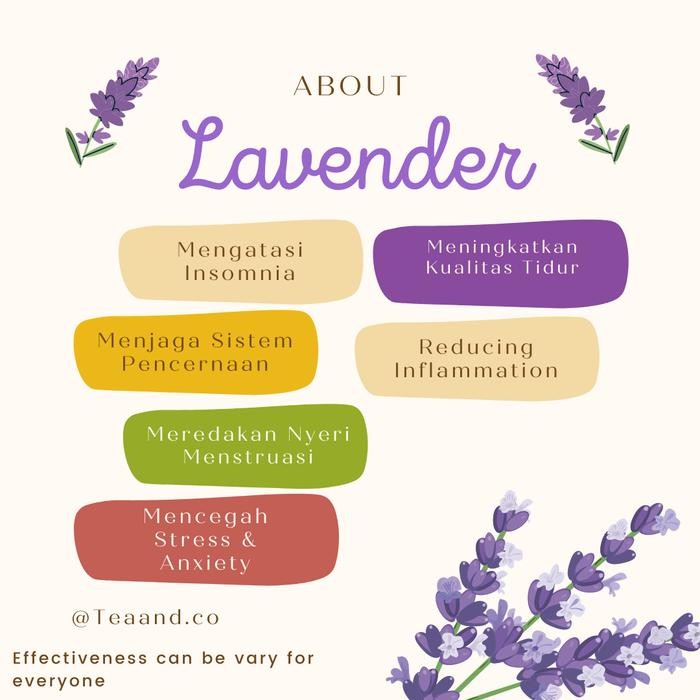 

Teh Lavender/ Bunga Lavender Kering/Dried Lavender Tea Organic [30 Gr]