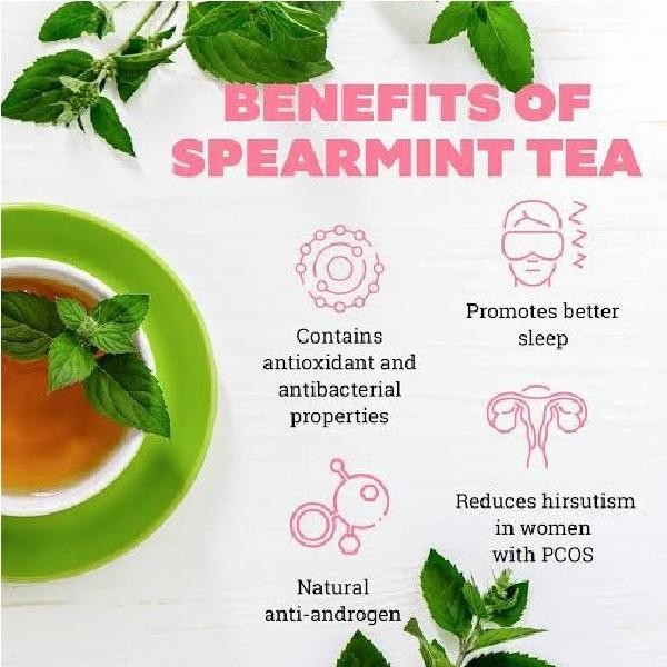 

Spearmint Tea : Teh Daun Spearmint (30 Tea Bag)
