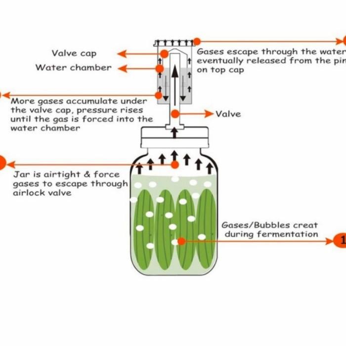 

(Expert) BALL MASON JAR - Fermentation Lids Wide Mouth tutup plastik fermentasi