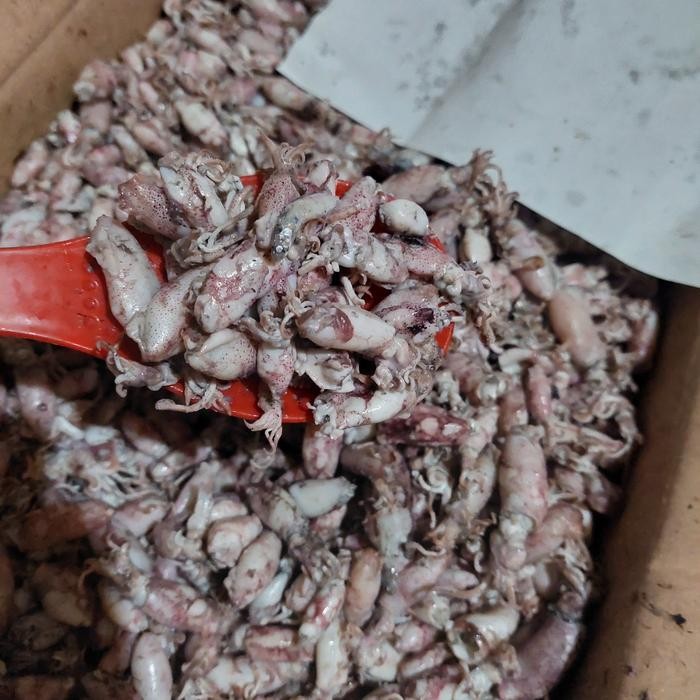 

baby cumi asin 1kg