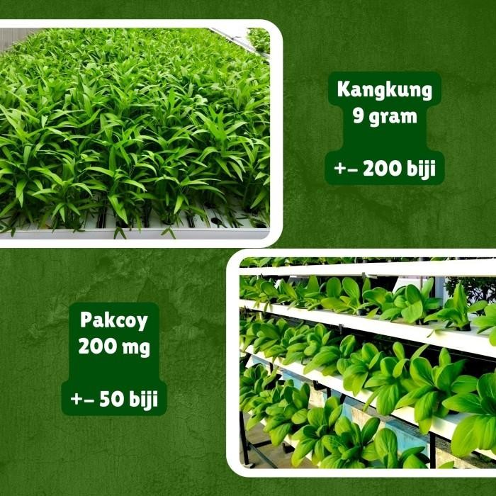 (Expert) Paket Benih Bibit Sayuran Daun Lengkap 10 Jenis Benih Sayuran