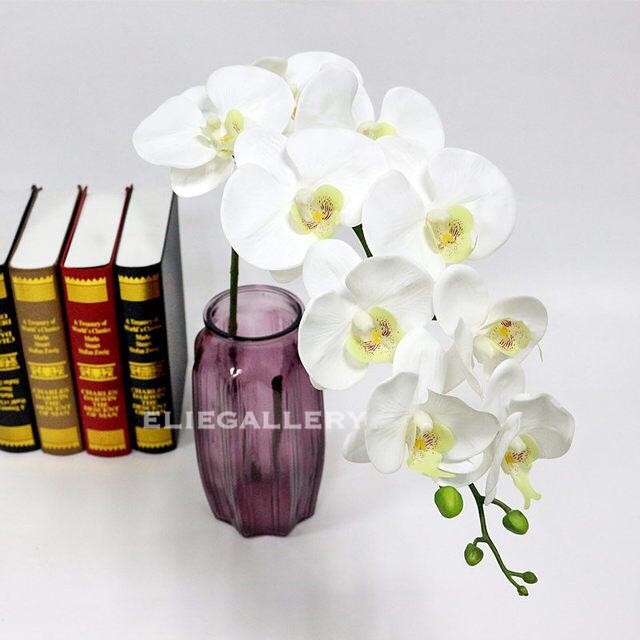 BEST SELLER Bunga ANGGREK LATEX / ANGGREK BULAN PUTIH / Anggrek Artificial /Orchid