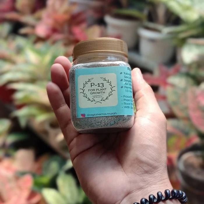 Pupuk P13 Om Justin Kemasan 200ml