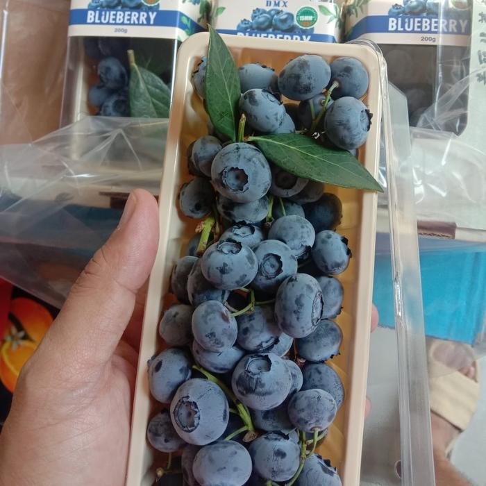 

Glx Blueberry blueberry impor blueberry manis bluebery - 1 pack