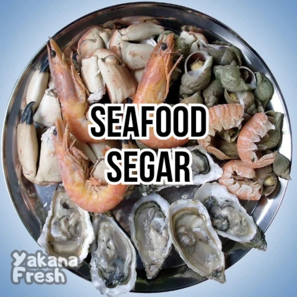 

Seafood Segar 500gr Cumi Udang Kepah Kerang Sotong