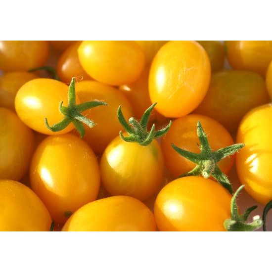 Tomat cherry GOLDEN SWEET