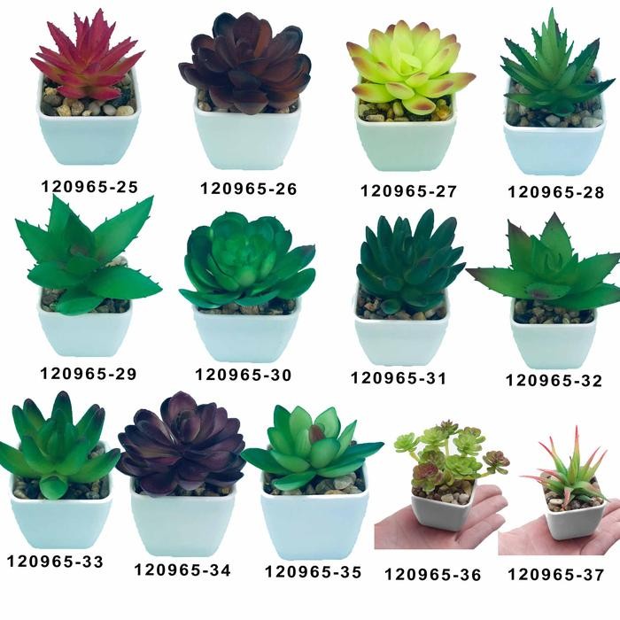 Kaktus mini / Tanaman hias / Aneka macam kaktus / Tanaman plastik Hiasan