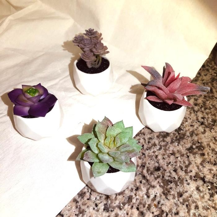 KAKTUS PLASTIK/KAKTUS HIAS SUCCULENT ARTIFICIAL PLANT/BUNGA HIAS UNIK