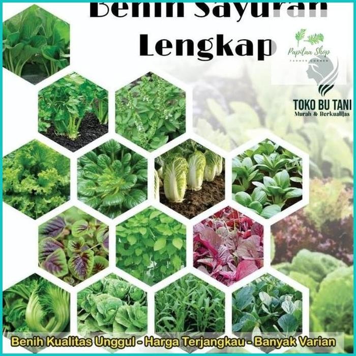 Bibit Sayuran Benih Sayur Paket Lengkap Tanaman Hidroponik Kangkung