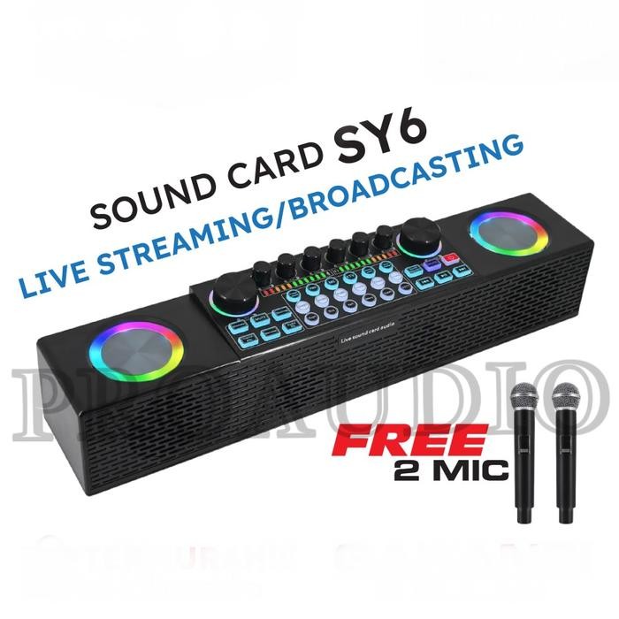 Soundcard SY6 Bluetooth Speaker 2 Mic Wireless Microphone Karaoke