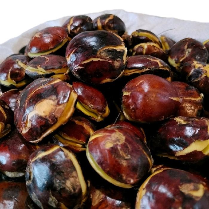 

New Jengkol Tua sudah full sortil ukuran besar dan sedang per 1kg