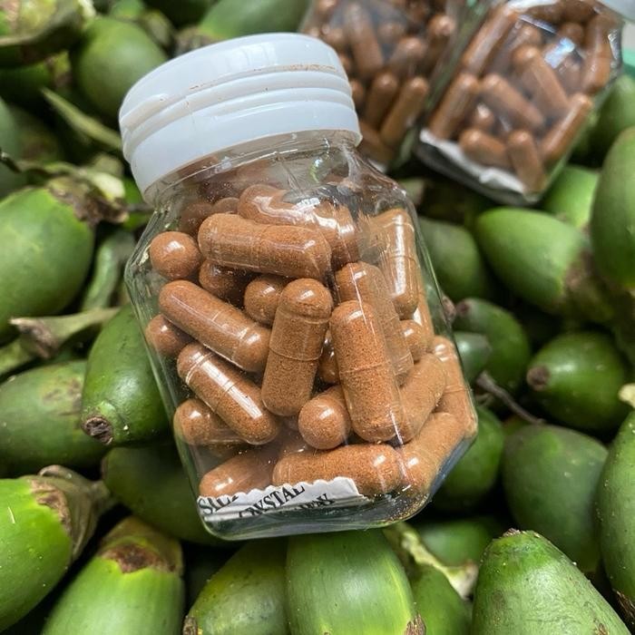 

[Fresh] Kapsul Pinang Muda 100% Murni Biji Pinang Muda Yang di Keringkan