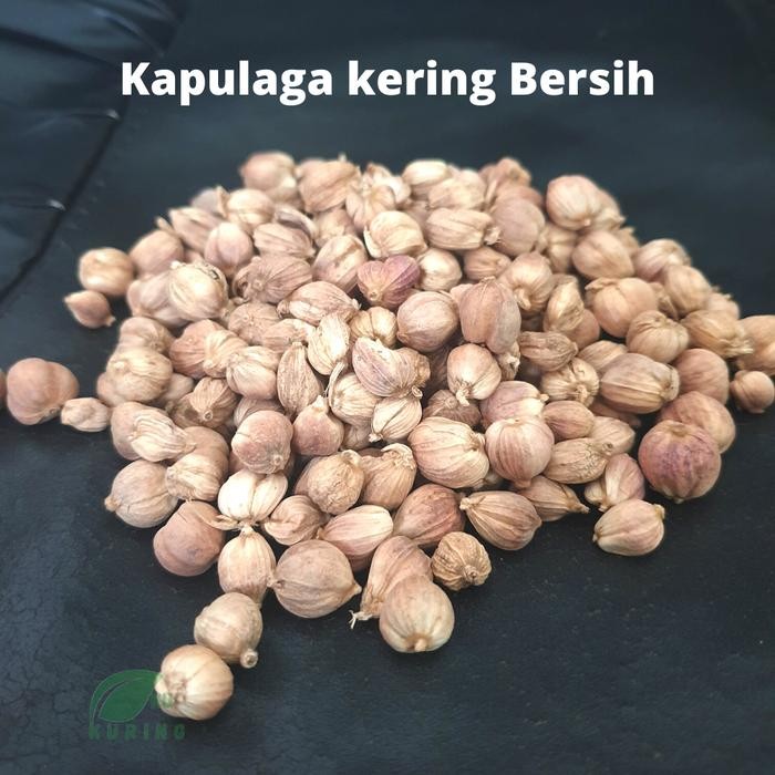 

[Fresh] Kapulaga kapol / Cardamon kering bisa grosir