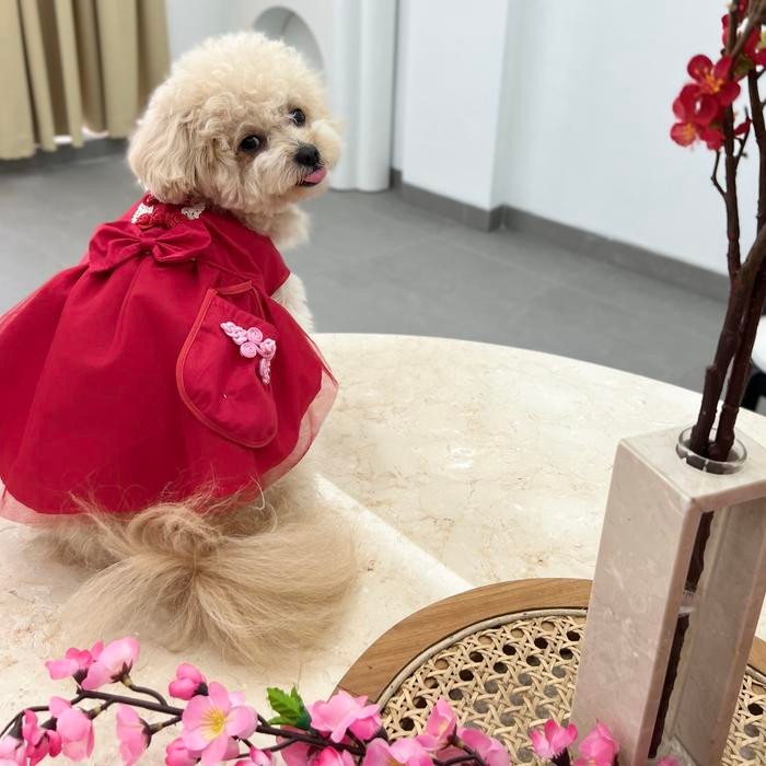 BAJU ANJING CHEONGSAM IMLEK DGN TAS KECIL