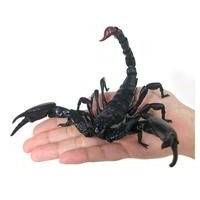 Bandai ikimono dangomushi sasori emperor scorpion figure kalajengking - hitam besar