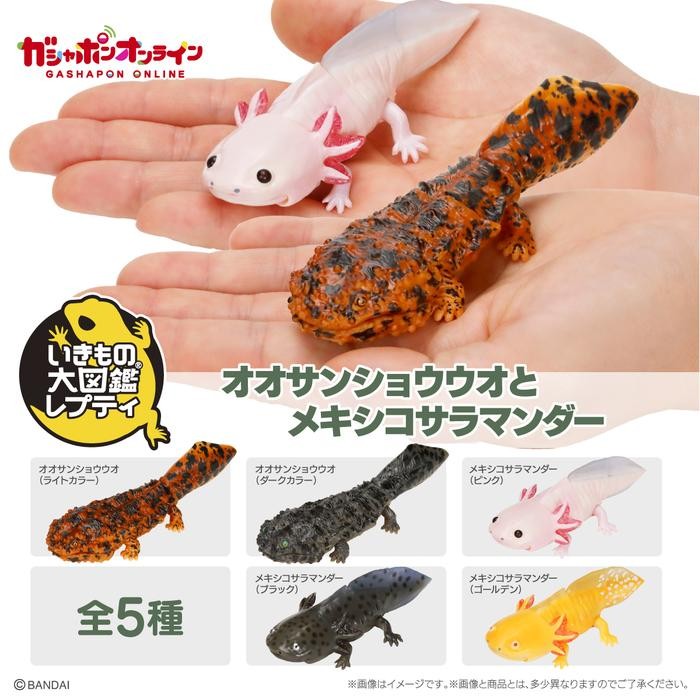 IKIMONO Repti Giant Salamander axolotl figure bandai gashapon figure - Black