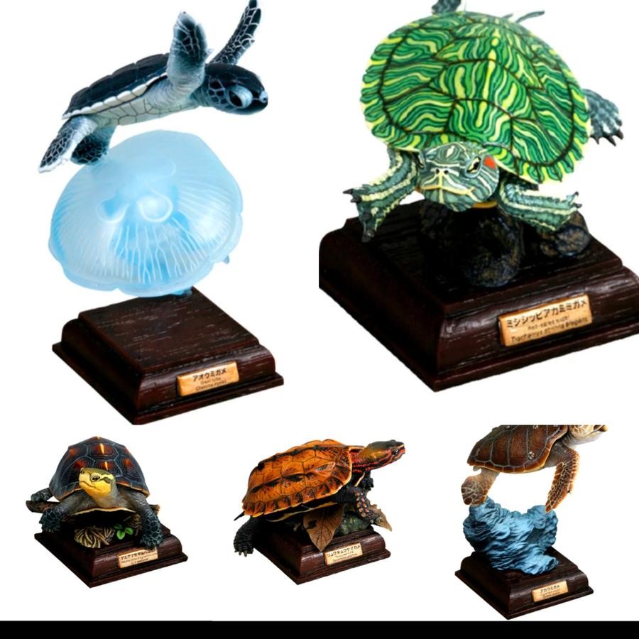 NTC Japanese turtle set lengkap isi 6 - kura brazil penyu hijau baby tukik sisik ocadia daun figure 