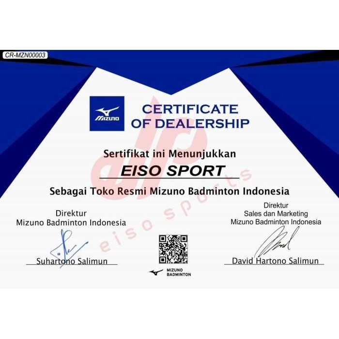 Raket Badminton Mizuno Carbopro 811 Bulutangkis