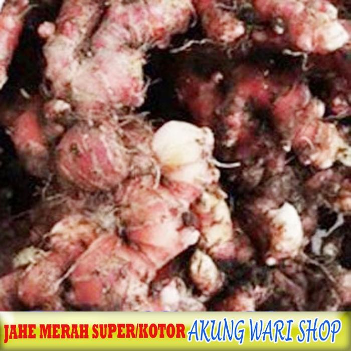 

New Jahe Merah Super Fresh 1 kg (belum di cuci)