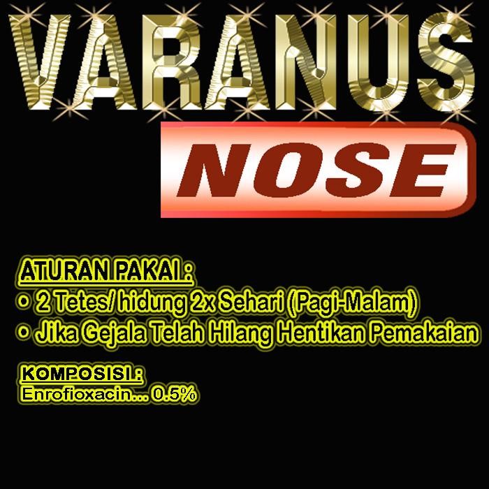 Varanus Nose Obat Pilek Reptile Kadal Menyembuhkan Hidung Varannus Berbuih Berlendir Berair