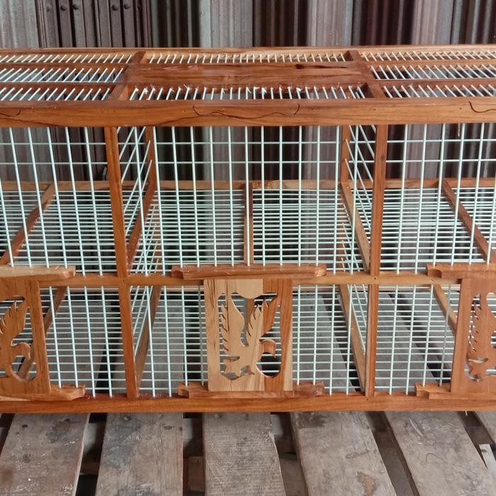 dongdang merpati 6 pintu