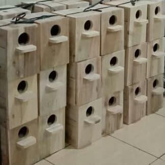 Glodok Love Bird - Glodok Burung - Pabrik Glodok kayu