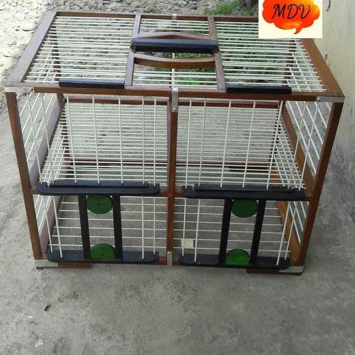 Dongdang burung merpati dan dara 4 pintu kayu jati full fiber