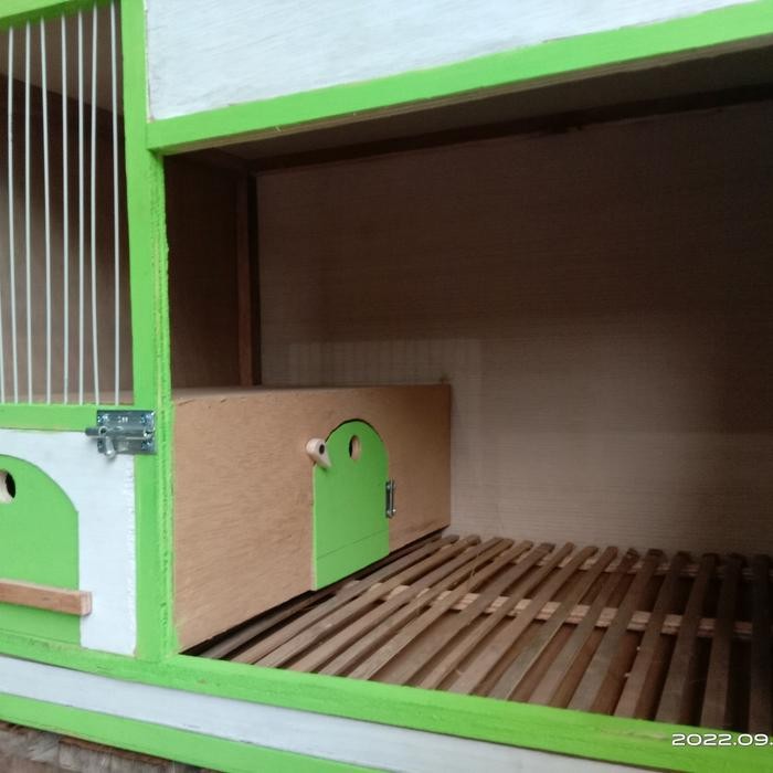 kandang macan merpati