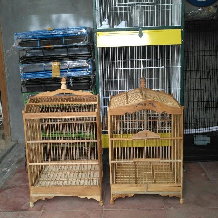 Kandang burung kotak mentahan berlina P 36 cm x L 36 cm x T 48 cm