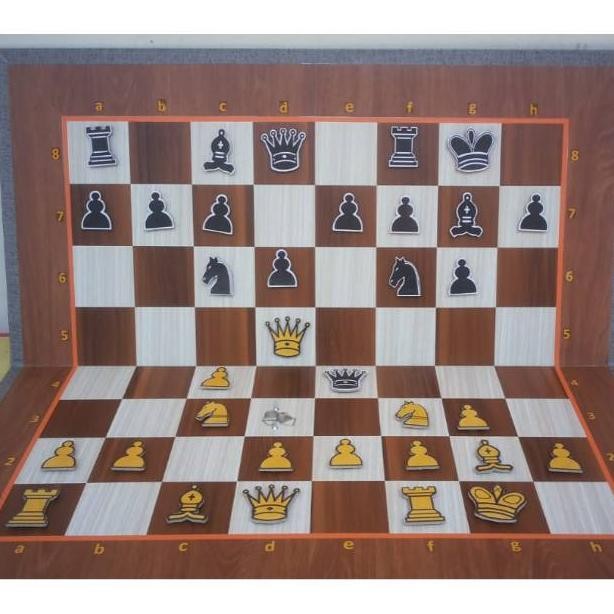 Parfume Papan catur peraga magnet